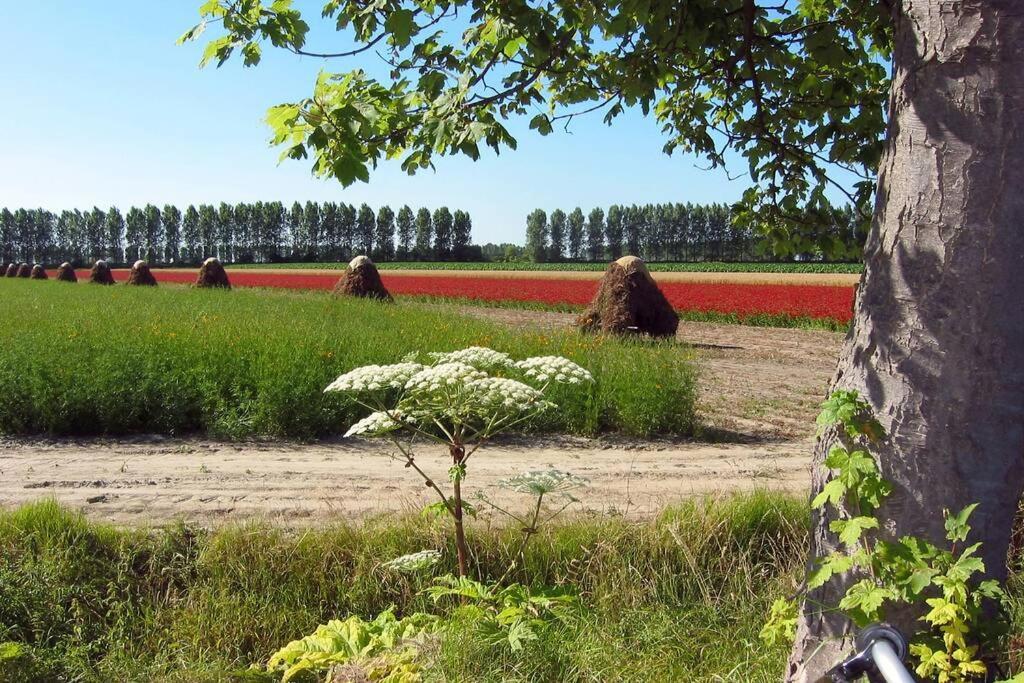 Logeren Op De Thoolse Parel Vakantiehuis Stavenisse Exterior foto